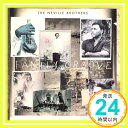 【中古】Family Groove CD The Neville Brothers Neville Brothers Brian Culbertson William Green Cyril N「1000円ポッキリ」「送料無料」「買い回り」