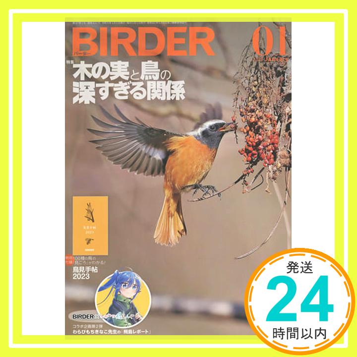 【中古】BIRDER 2023年 01 月号 雑誌 「1000円ポッキリ」「送料無料」「買い回り」