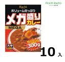 訳あり10箱入メガ盛りカレー　大辛300g 賞味期限:2025/6/11レトルトカレー