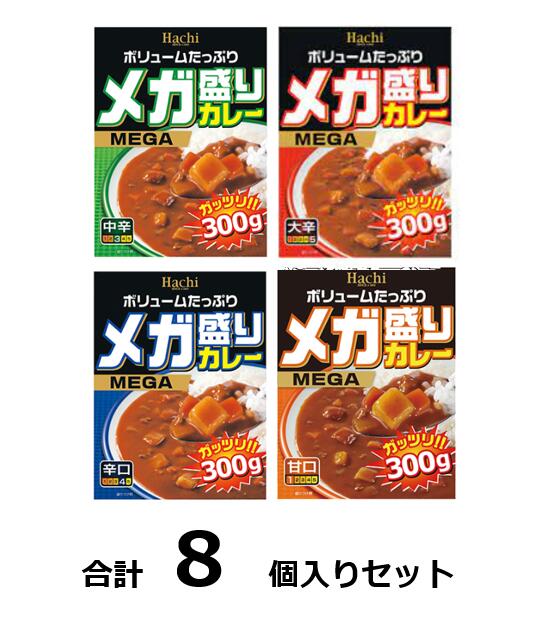 訳あり メガ盛りカレー4種お試しセット各味2入り 賞味期限:2025/8/20