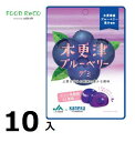 訳あり10袋入木更津ブルーベリーグミラブレ乳酸菌入40g 賞味期限:2024/7/25
