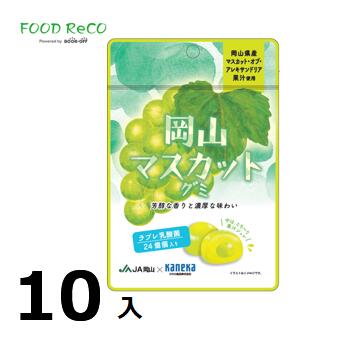 訳あり10袋入岡山マスカットグミラブレ乳酸菌入40g 賞味期限:2024/8/27