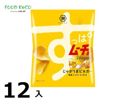 訳あり12袋入すっぱムーチョチップスじゃがうまビネガー55g 賞味期限:2024/7/23