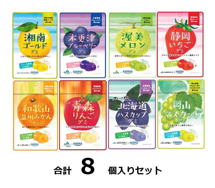 訳ありカネカ食品グミラブレ乳酸菌8種セット各味1入40g 賞味期限:2024/6/21