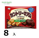 訳あり8袋入カントリーマアム(バニラ&ココア)　19枚 賞味期限:2024/6/30