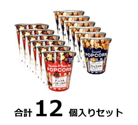 訳あり Nポップコーン2種お試しセット各味6個入 賞味期限:2024/9/11