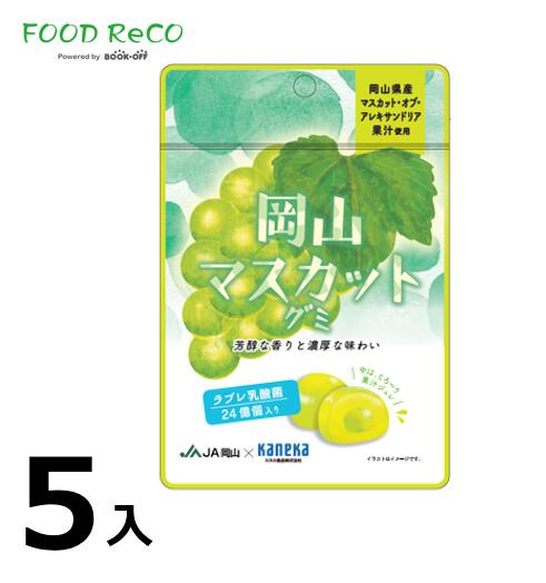 訳あり5袋入岡山マスカットグミラブレ乳酸菌入40g 賞味期限:2024/8/27