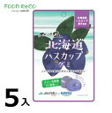 訳あり5袋入北海道ハスカップグミラブレ乳酸菌入40g 賞味期限:2024/6/25