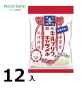 訳あり12袋入森永牛乳プリン　キャラメル袋69g 賞味期限:2024/5/31