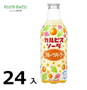 訳あり24本入カルピスフルーツパーラー450ml 賞味期限:2024/7/31