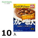 訳あり10個入スパイシーチキンカレーカレー職人170g 賞味期限:2025/1/31