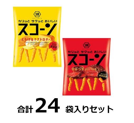 訳ありスコーン2種セット各味12入 賞味期限:2024/8/29