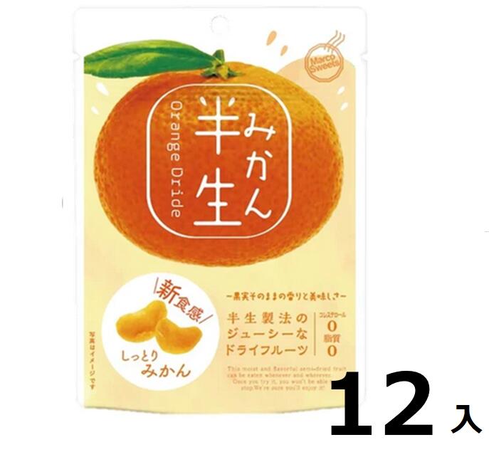 訳あり12袋入半生フルーツ　みかん75g 賞味期限:2024/6/20ドライフルーツ