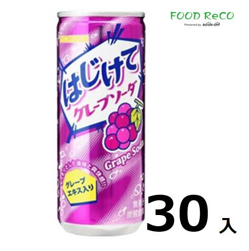 訳あり30本入はじけてグレープソーダ250ml 賞味期限:2024/11/30炭酸ドリンク