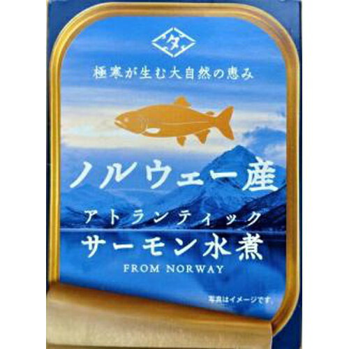 【オフプライス まとめ買い】 ちょうした ノルウェー産サーモン水煮 90g 【購入入数30個】