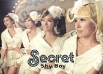 【中古】 Shy Boy（初回生産限定盤B）（DVD付）／Secret