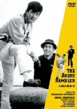 【中古】 大暴れ風来坊/山崎徳次郎(監督),原健三郎(原作),小林旭,浅丘ルリ子,宍戸錠,白木マリ