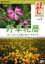 【中古】 日本再発見 ~野草花暦~/檀ふみ(ナレーション) 1,331円