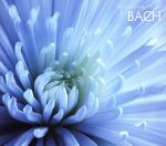 【中古】 ＜ハートフル・クラシック＞1．おちつき〜．