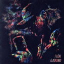 【中古】 1LDK/GADORO