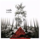 【中古】 the　divine　move／Vampillia