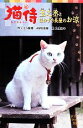 【中古】 猫侍 玉之丞とほおずき長屋のお涼 ポプラポケット文庫／いとう縁凛，AMG出版【作】，九条M＋【絵】