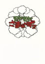 【中古】 モヤモヤさまぁ~ず2 DVD-BOX(VOL.20、VOL.21)/さまぁ~ず,大江麻里子,狩野恵理