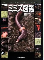 【中古】 ミミズ図鑑／石塚小太郎【著】，皆越ようせい【写真】