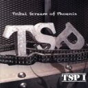 【中古】 TSP I/TSP