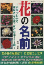 【中古】 花の名前 由来でわかる花屋さんの花　身近な花522種／浜田豊(著者)