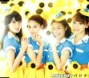 【中古】 向日葵(ローコストキャリア盤バニラ)/PASSPO☆(ぱすぽ☆)
