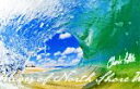 【中古】 Waves of North Shore/クラーク・リトル(著者)