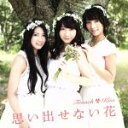 【中古】 思い出せない花(TYPE−A)(DVD付)/フレンチ・キス(AKB48)