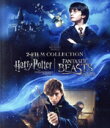 【中古】 ハリー・ポッターと賢者の石 & ファンタスティック・ビーストと魔法使いの旅 魔法の世界 入学セット(Blu−ray Disc)/(関連)ハ...