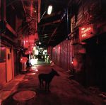 【中古】 Black　Market　Blues　e.p.／9mm　Parabellum　Bullet