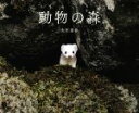 【中古】 動物の森/太田達也(著者)