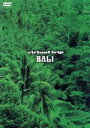 【中古】 virtual　trip　BALI／（BGV）,石茂雄（監督）