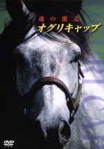 糸洲流 空手道型大鑑 vol.2 【DVD】