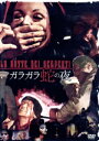 【中古】 ガラガラ蛇の夜/ルーク・アスキュー,マグダ・コノプカ,ルイジ・ピスティリ,ジュリオ・ペトローニ(監督、脚本),リズ・オルトラーニ(音楽)