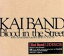 【中古】 Blood in the Street/甲斐バンド 40th Anniversary tour in 日比谷野音/甲斐バンド 【中古】afb 2,783円