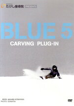 【中古】 CARVING　PLUG−IN　BLUE　5／（スポーツ）