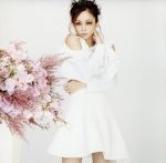 【中古】 BRIGHTER　DAY／安室奈美恵