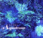 【中古】 AQUADREAM／ヒナタカコ