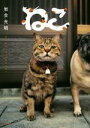 【中古】 写真集 ねこ/岩合光昭