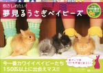 うさぎと暮らす編集部(編者),うさフォトカメラマン販売会社/発売会社：マガジンランド発売年月日：2014/11/01JAN：9784865460391