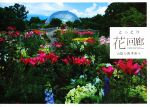 とっとり花回廊(著者)販売会社/発売会社：今井印刷発売年月日：2014/11/01JAN：9784906794652