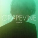 【中古】 Burning tree（初回限定版）／GRAPEVINE