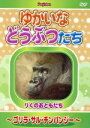 【中古】 ゆかいなどうぶつたち/(キッズバラエティ)