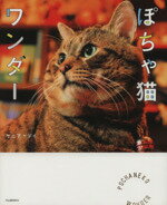 【中古】 ぽちゃ猫ワンダー／ケニア・ドイ(著者)