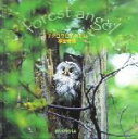 【中古】 フクロウにあいたい Seiseisha minibook/横田雅博(著者)